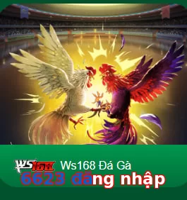 6623 đăng nhập